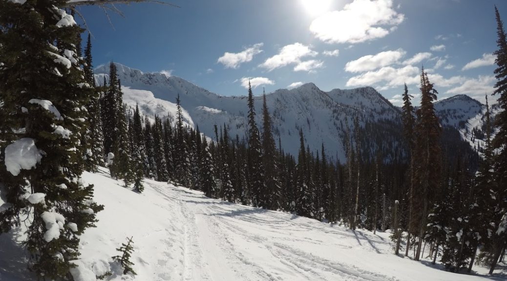 backcountry skiing skin track