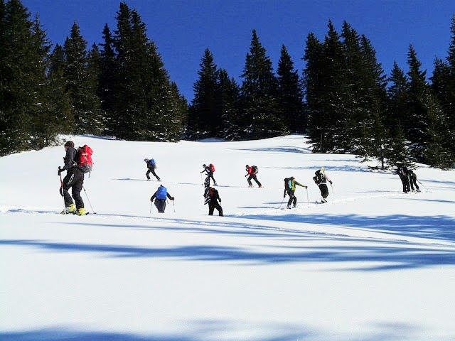 backcountry skiers on the skin track